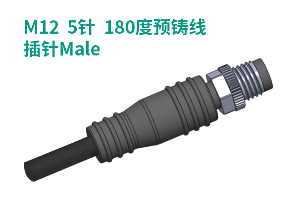 M12 5針 180度預鑄線 M12 5針 180度預鑄線